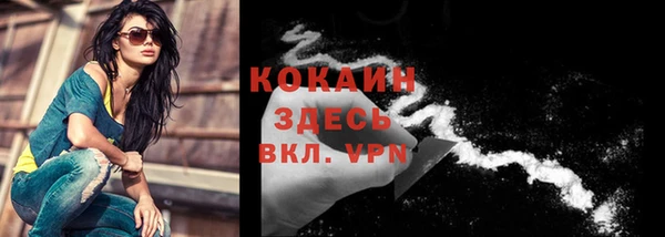 ПСИЛОЦИБИНОВЫЕ ГРИБЫ Верхний Тагил
