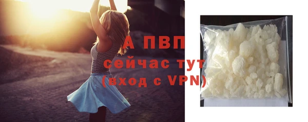 ПСИЛОЦИБИНОВЫЕ ГРИБЫ Верхний Тагил