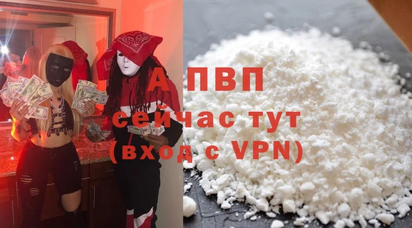 PSILOCYBIN Бронницы
