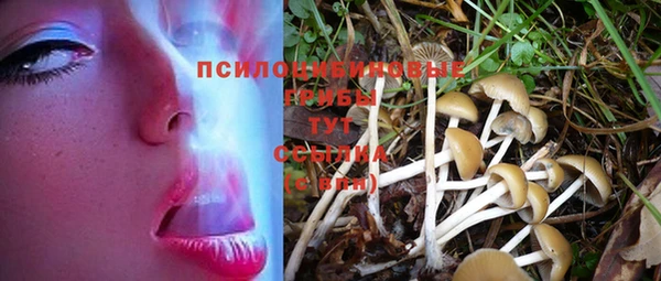 PSILOCYBIN Бронницы