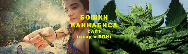 ПСИЛОЦИБИНОВЫЕ ГРИБЫ Верхний Тагил