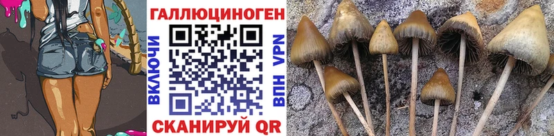 Псилоцибиновые грибы ЛСД  Купить где  Поворино 